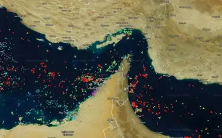 Reopening Strait of Hormuz Falls Short in Solving Shipping Issues, Oil Prices
