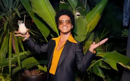 Bruno Mars Declares Financial Freedom at Las Vegas Performance