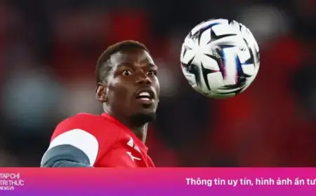 Pogba Breaks Silence After 130-Day Absence