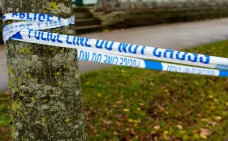 Gunshots in Brinnington Lead to Six Arrests