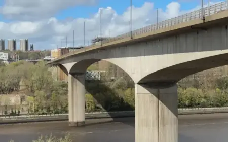 Man Vanishes After Alleged Bridge Altercation and Entering Water