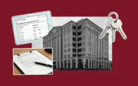 Wout van Aert Wins Paris-Roubaix, Beats Tadej Pogačar in Thrilling Finish