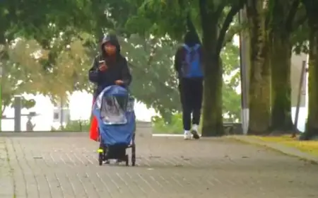 Study Reveals Rising Desire for Parenthood Among Younger Canadians