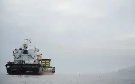 Senator Johnson Declares Iran a ‘Long-Term Project’ Following Failed Talks