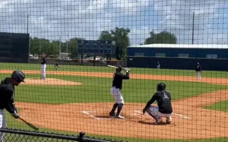 Live Updates: Yankees vs. Rays Game Score and Analysis