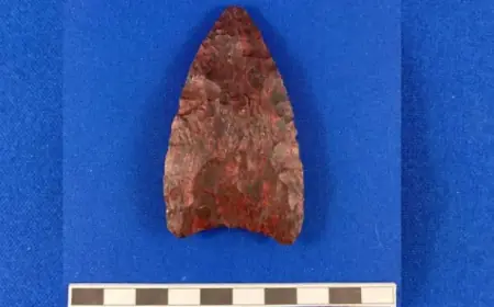 Ancient Stone Tools Could Redefine Island History by Millennia
