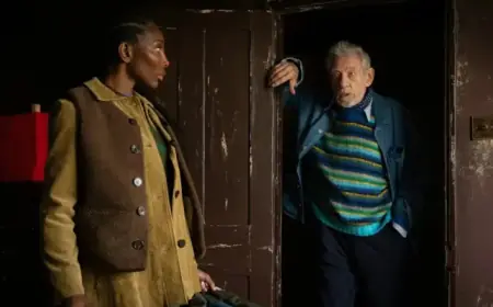 Explore Steven Soderbergh’s Unique and Surprising Heist Film