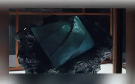 Art Zoo Museum Unveils Lab-Grown Dinosaur Leather in New Exhibit