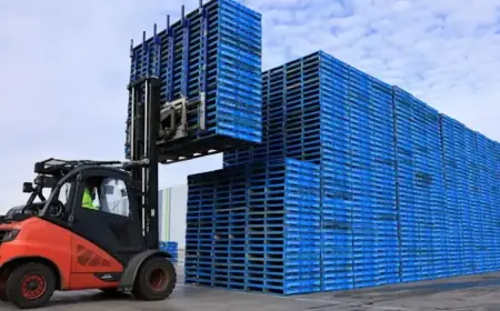 Brambles Shareholders Regain Losses with Class Action Victory