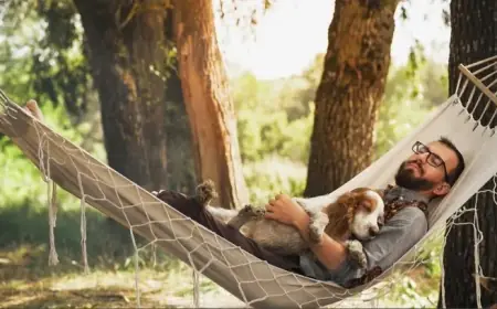 I Used ChatGPT to Embrace the ‘Let Them’ Rule and Overcame Overthinking