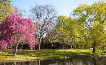 Next Week: Cool Showers Transition to Warmer, Drier Southeast Conditions