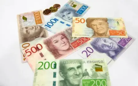 Swedish Pension Savers Gain by Staying Passive, Except in 2025
