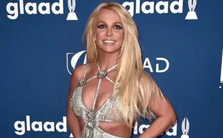 Britney Spears Enters Rehab After DUI Arrest