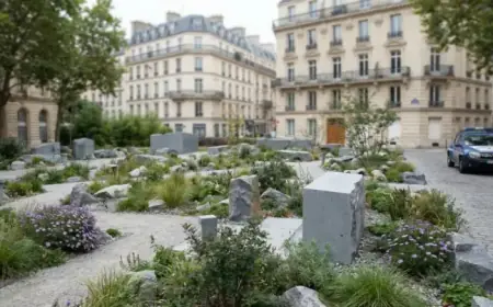 Vandalism Sparks Outrage at November 13 Memorial with Terrorist Allegations Tags