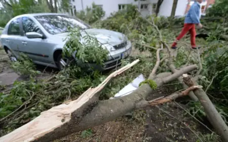 Over 20,000 Vehicles Damaged by Storms in Niedersachsen: Average Costs Revealed
