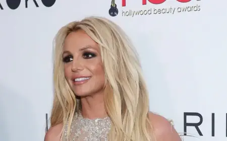 Britney Spears Checks Into Rehab Following DUI Arrest