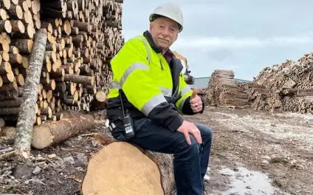 Sawmill Owners Revitalize N.L. Newsprint Industry with Promising Future