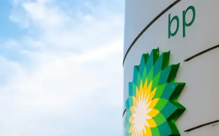 BP Secures New Exploration Licenses in Africa’s Emerging Oil Hotspot