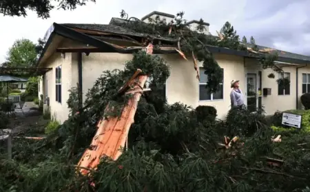 Spring Storm Hits: Lightning Splinters Tree and Damages Oakmont Church