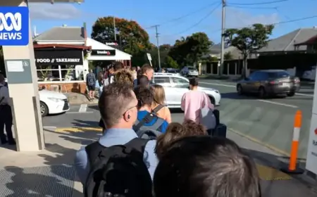 Brisbane Commuters Experience Rail Bus Delays