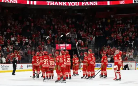 Red Wings’ Performance Angers Fans, Says McLellan