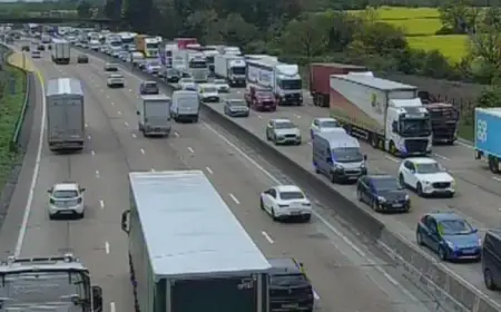 M25 Shuts Down After Police Incident: Latest Updates