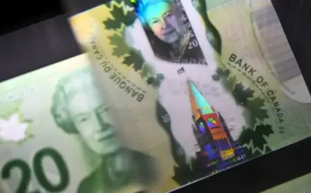 Canada’s Wealth and Income Gaps Widen, Reports Statistics Canada 2025