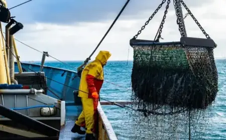 UK Boosts Fishing Industry with £132 Million Finance Scheme Relaunch