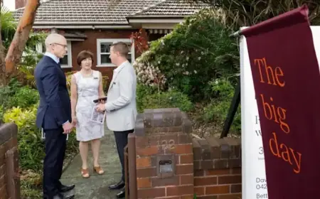 Auction Market Plummets, Leaving Buyers Shaken