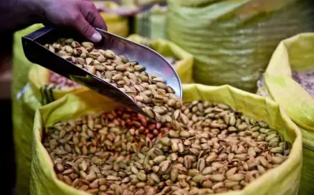 Salmonella Outbreak in Pistachios Hits 189 Cases in One Year