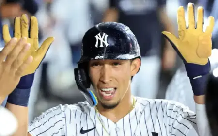 Yankees Fans Face Disappointment as Cabrera Fails to Replace McMahon