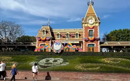 Disneyland Introduces Major Updates to Latest Theme Park This Month