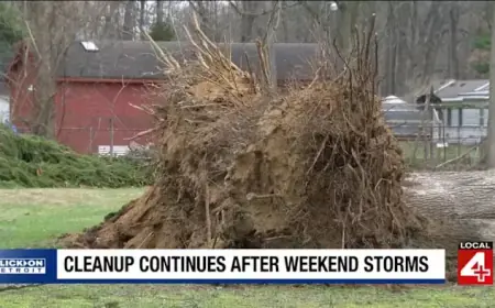 Severe Storms Devastate Metro Detroit; Cleanup Efforts May Last Weeks