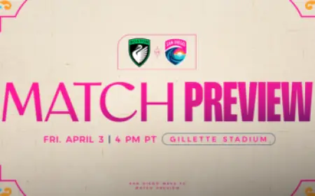 Traffic Cameras Capture Police Chase and Crash Before Milwaukee Officer-Involved Shooting