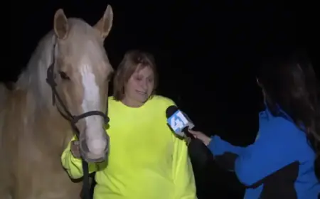 Storm Ravages Homes and Buildings in Hillsdale