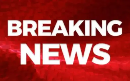 Stabbing Near Brent Cross Centre Hospitalizes Victim