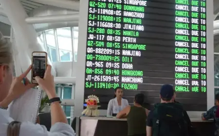 Avoid Summer Flight Chaos with These Essential Tips