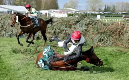 Aintree Race Leads to Immediate Ban for Grand National Jockey