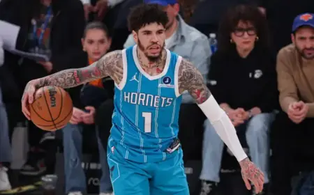 Hornets Revitalize NBA Scene in Charlotte