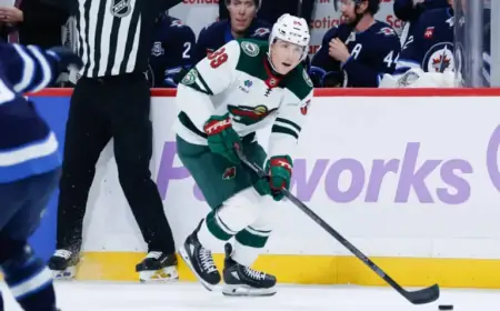 Wild Recall Ben Jones and Nicolas Aube-Kubel