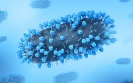 Valkyrae Addresses Deleted Post in Sykkuno Scandal Response