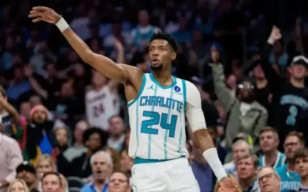 Hornets Thrill in NBA Play-In Tournament, Eliminate Heat