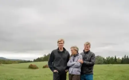 California DMV Services Disrupted by Brief Computer Network Outage