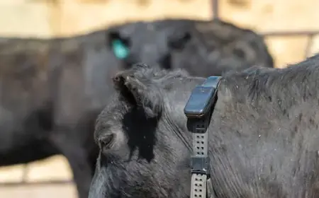 Revolutionizing Ranching and Conservation with Cutting-Edge Technology