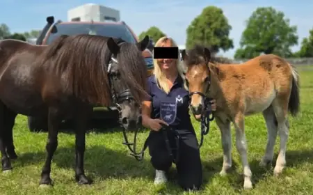 Murder Trial for Fabian (8) from Güstrow Starts April 28, 2026