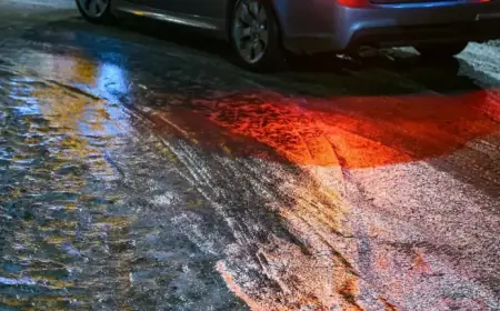 Berlin & Brandenburg See Unusual Road Salt Use Last Winter