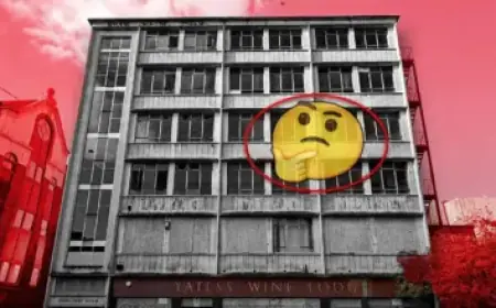 Halo World Championship 2026: Exciting Draw Revealed