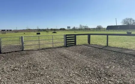New Dog Field Opens for Off-Leash Adventures Safely