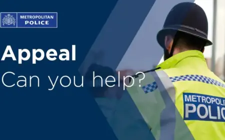 Finchley Arson Attempt Sparks Investigation