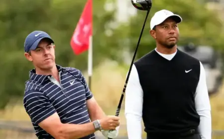 Rory McIlroy and Scottie Scheffler Rise on PGA Tour Money List